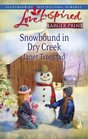 Snowbound in Dry Creek (Dry Creek, Bk 14) (Love Inspired, No 465) (Larger Print)