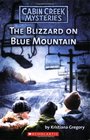 Blizzard On Blue Mountain