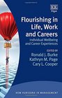 Flourishing in Life Work and Careers Individual Wellbeing and Career Experiences