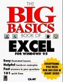 The Big Basics Book of Excel for Windows 95