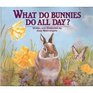 What Do Bunnies Do All Day