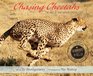 Chasing Cheetahs The Race to Save Africa's Fastest Cat