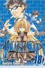 Black Cat, Volume 18 (Black Cat (Graphic Novels))