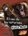 El oso de las cavernas/Cave Bear