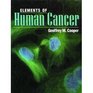 Elements of Human Cancer