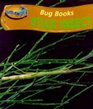 Takeoff Bug Books Stick Insect