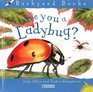 Are You a Ladybug