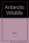 Antarctic Wildlife