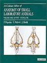 Colour Atlas of Anatomy of Small Laboratory Animals Volume 1