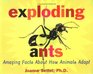 Exploding Ants  Amazing Facts About How Animals Adapt
