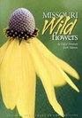 Missouri Wildflowers: A Field Guide to the Wildflowers of Missouri