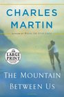 The Mountain Between Us (Large Print)