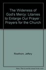 The Wideness of God's Mercy Litanies to Enlarge Our Prayer  Prayers for the Church