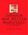Johnnie and Billie Bushytail Original Illustrations by Louis Wisa