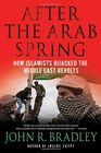 After the Arab Spring How Islamists Hijacked The Middle East Revolts