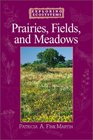 Prairies Fields and Meadows