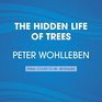 The Hidden Life of Trees What They Feel How They CommunicateDiscoveries From a Secret World