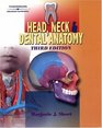 Head Neck  Dental Anatomy