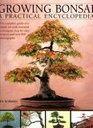 Complete Practical Encyclopedia of Bonsai: The Essential Step-By-step guide to creating, growing and Displaying Bonsai with Over 800 Photographs