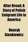After Bread A Story of Polish Emigrant Life to America