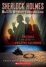 The Fall of the Amazing Zalindas (Sherlock Holmes and the Baker Street Irregulars, Bk 1)