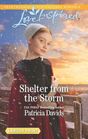Shelter from the Storm (North Country Amish, Bk 2) (Love Inspired, No 1231) (Larger Print)