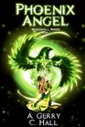 Phoenix Angel The Shardwell Series Book 1