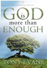 God Is More Than Enough (LifeChange Books)