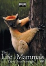 The Life of Mammals