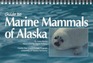 Guide to Marine Mammals of Alaska