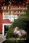 Of Laundries and Rabbits Growing Up in England and Scotland