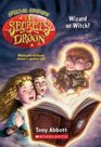 Wizard or Witch? (Secrets of Droon, Special Edition #2)