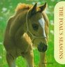 The Foal's Seasons