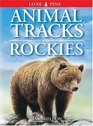Animal Tracks of the Rockies