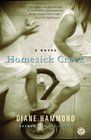 Homesick Creek A Novel
