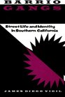 Barrio Gangs Street Life and Identity in Southern California