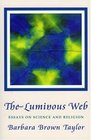 The Luminous Web Essays on Science and Religion