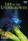 Life in the Undergrowth Signed Edition