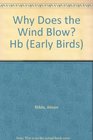 What Makes the Wind Blow