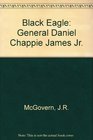 Black Eagle General Daniel Chappie James Jr
