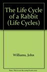 The Life Cycle of a Rabbit