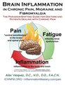Brain Inflammation in Chronic Pain Migraine and Fibromyalgia The ParadigmShifting Guide for Doctors and Patients Dealing with Chronic Pain