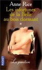 Les Infortunes de la Belleauboisdormant tome 2  La punition