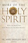 More of the Holy Spirit How to Keep the Fire Burning in Our Hearts