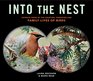 Into the Nest Intimate Views of the Courting Parenting and Family Lives of Birds