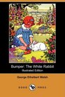 Bumper The White Rabbit