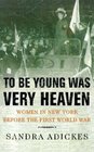 To Be Young Was Very Heaven  Women in New York Before the First World War