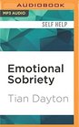 Emotional Sobriety From Relationship Trauma to Resilience and Balance