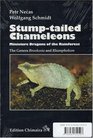 Stumptailed Chameleons Miniature Dragons of the Rainforest