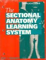 The Sectional Anatomy Learning System  Concepts